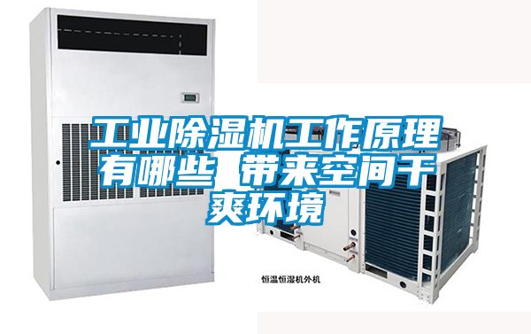 工業除濕機工作原理有哪些 帶來空間干爽環境