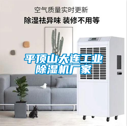 平頂山大連工業除濕機廠家