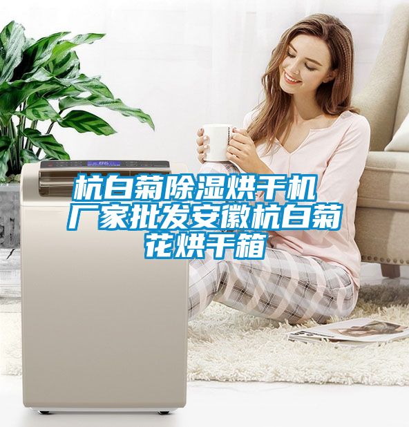 杭白菊除濕烘干機 廠家批發安徽杭白菊花烘干箱