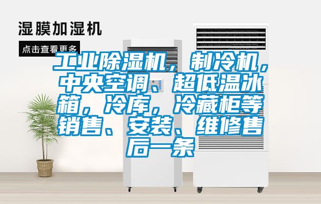 工業除濕機，制冷機，中央空調、超低溫冰箱，冷庫，冷藏柜等銷售、安裝、維修售后一條
