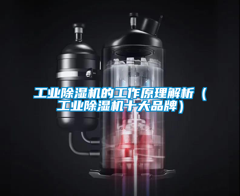 工業除濕機的工作原理解析（工業除濕機十大品牌）
