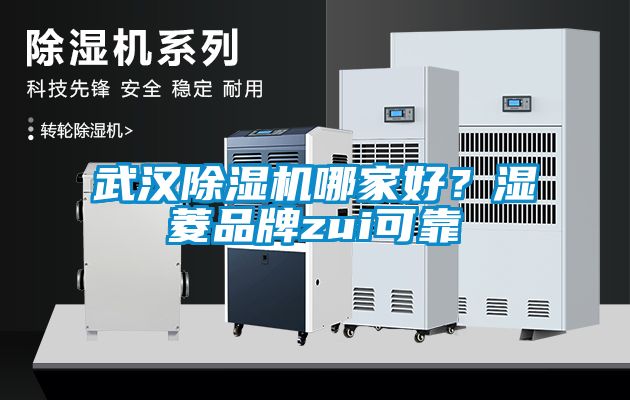 武漢除濕機哪家好？濕菱品牌zui可靠