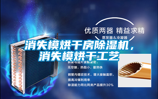 消失模烘干房除濕機，消失模烘干工藝