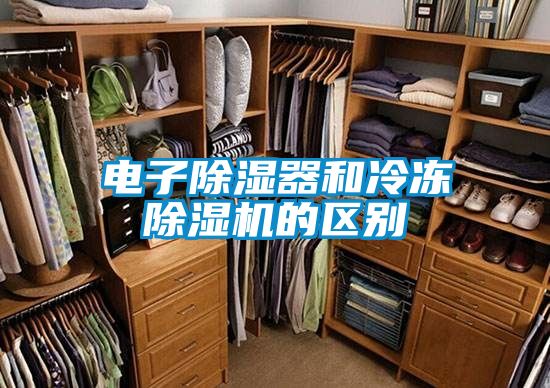 電子除濕器和冷凍除濕機的區別