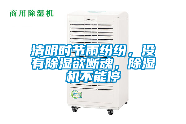 清明時(shí)節(jié)雨紛紛，沒有除濕欲斷魂，除濕機(jī)不能停