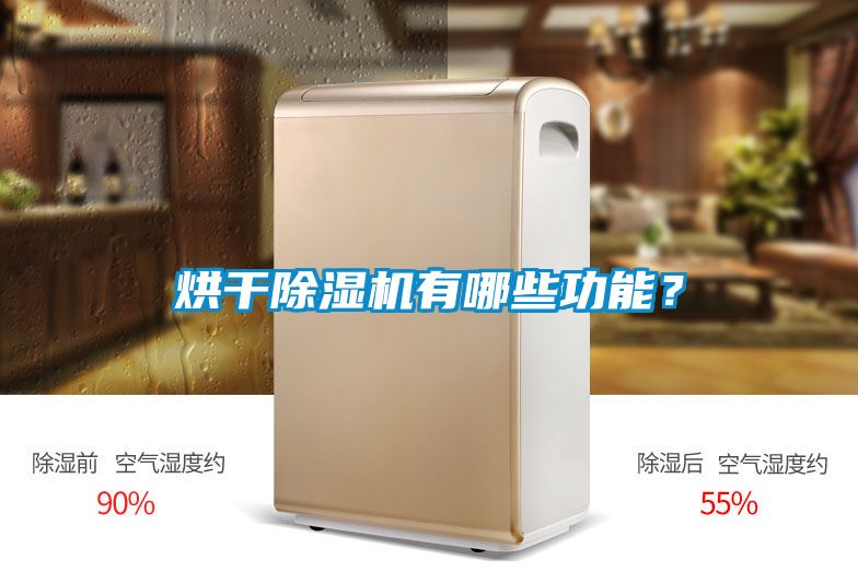 烘干除濕機有哪些功能？