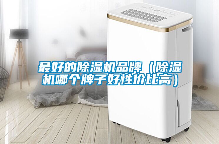 最好的除濕機(jī)品牌（除濕機(jī)哪個牌子好性價比高）