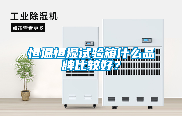 恒溫恒濕試驗箱什么品牌比較好？