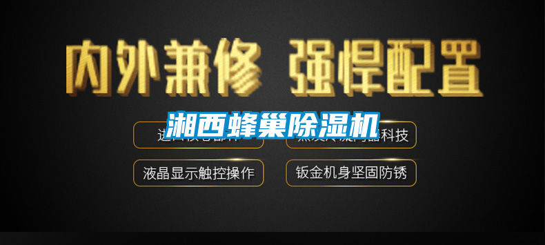 湘西蜂巢除濕機