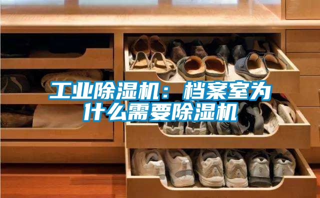 工業除濕機：檔案室為什么需要除濕機