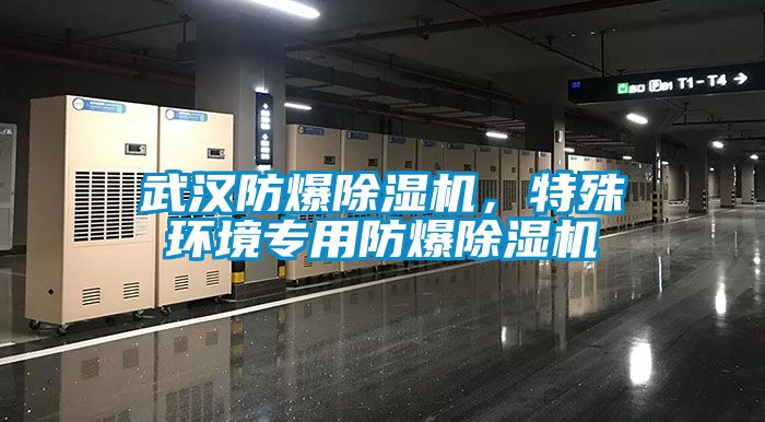 武漢防爆除濕機，特殊環境專用防爆除濕機