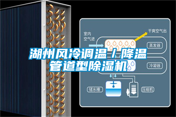 湖州風冷調溫／降溫管道型除濕機
