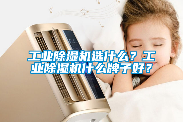 工業除濕機選什么？工業除濕機什么牌子好？