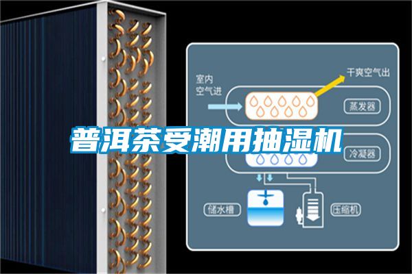 普洱茶受潮用抽濕機(jī)