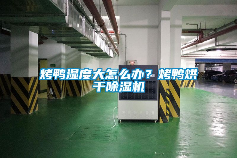 烤鴨濕度大怎么辦？烤鴨烘干除濕機