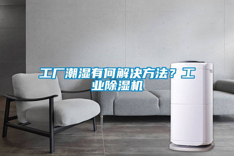 工廠潮濕有何解決方法？工業除濕機