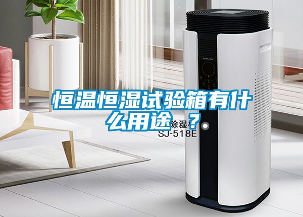 恒溫恒濕試驗箱有什么用途 ？
