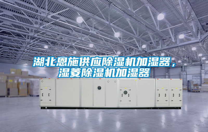 湖北恩施供應(yīng)除濕機(jī)加濕器，濕菱除濕機(jī)加濕器