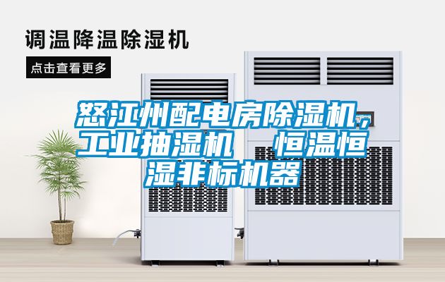 怒江州配電房除濕機，工業抽濕機  恒溫恒濕非標機器