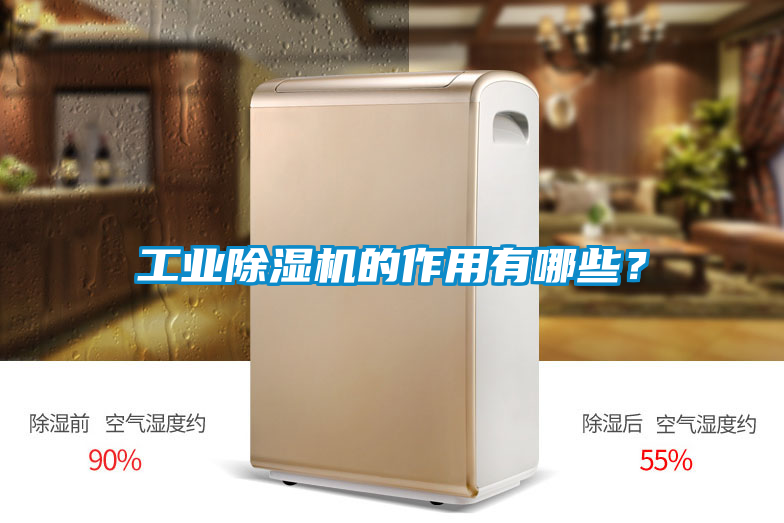 工業(yè)除濕機的作用有哪些？