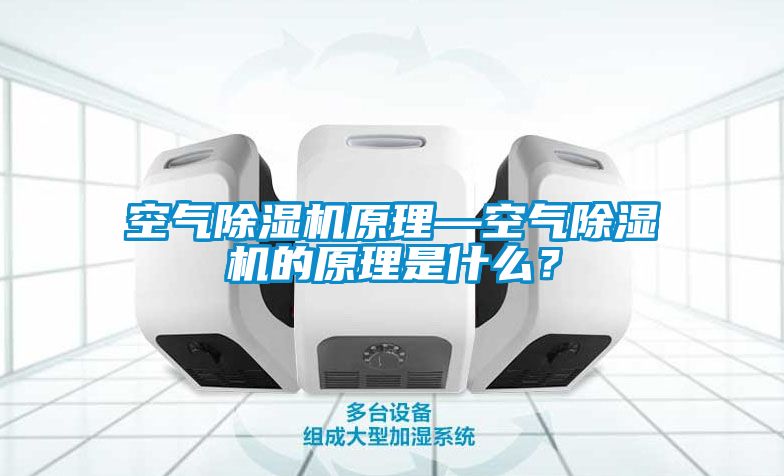 空氣除濕機(jī)原理—空氣除濕機(jī)的原理是什么？