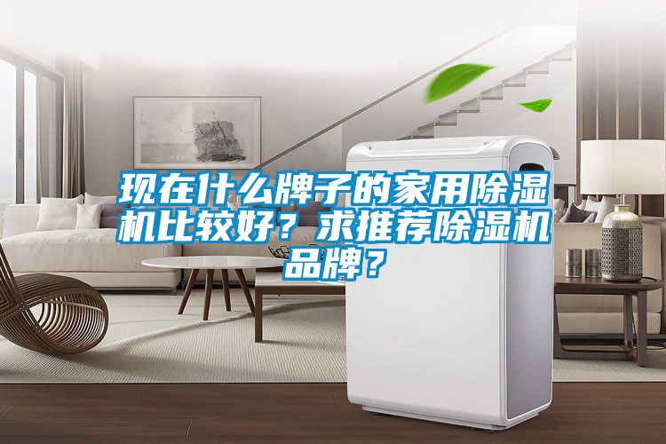 現在什么牌子的家用除濕機比較好？求推薦除濕機品牌？