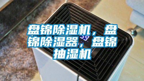 盤錦除濕機(jī)，盤錦除濕器，盤錦抽濕機(jī)