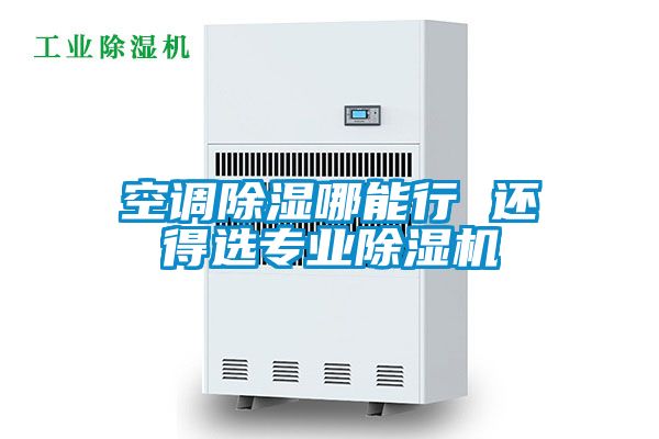 空調除濕哪能行 還得選專業除濕機
