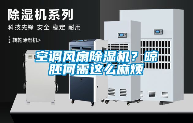 空調(diào)風(fēng)扇除濕機？晾胚何需這么麻煩