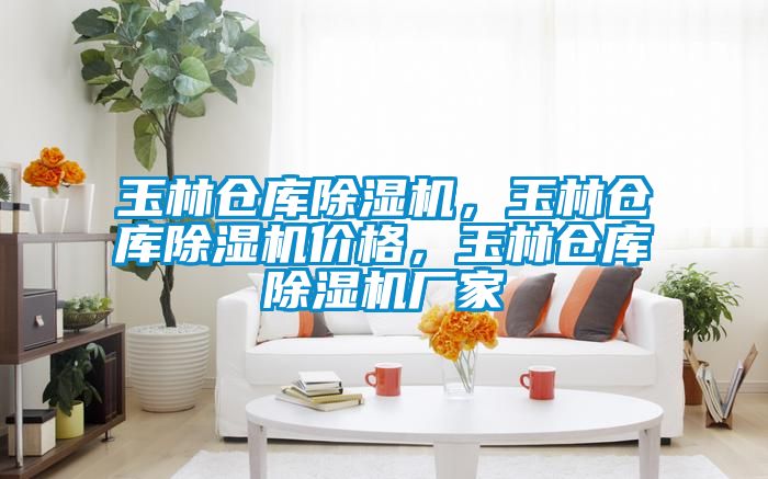 玉林倉庫除濕機，玉林倉庫除濕機價格，玉林倉庫除濕機廠家