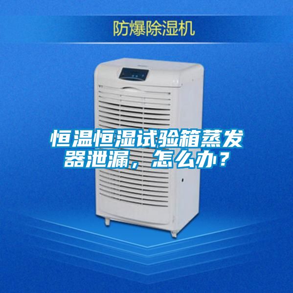 恒溫恒濕試驗箱蒸發(fā)器泄漏，怎么辦？