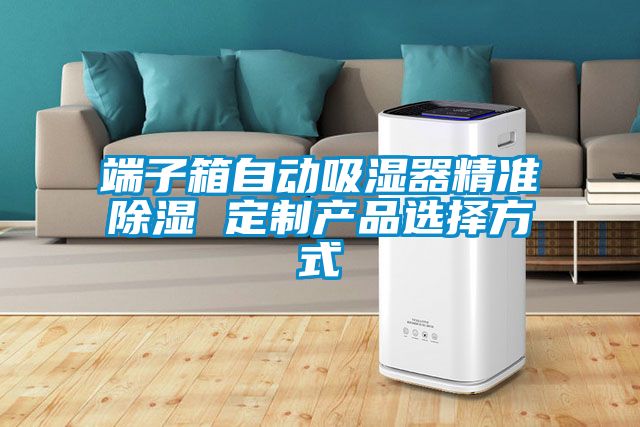端子箱自動吸濕器精準除濕 定制產品選擇方式