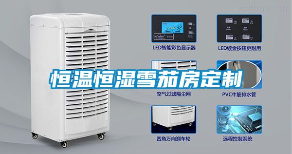 恒溫恒濕雪茄房定制