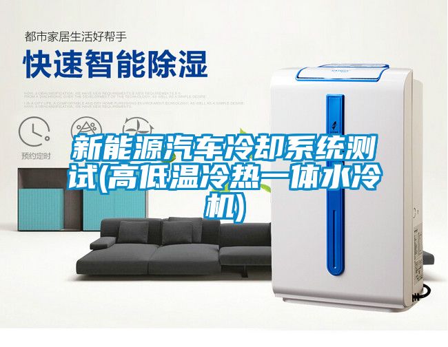 新能源汽車冷卻系統測試(高低溫冷熱一體水冷機)
