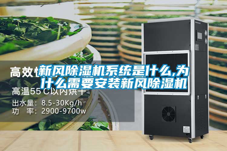 新風除濕機系統是什么,為什么需要安裝新風除濕機