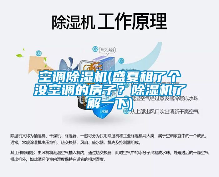 空調除濕機(盛夏租了個沒空調的房子？除濕機了解一下)