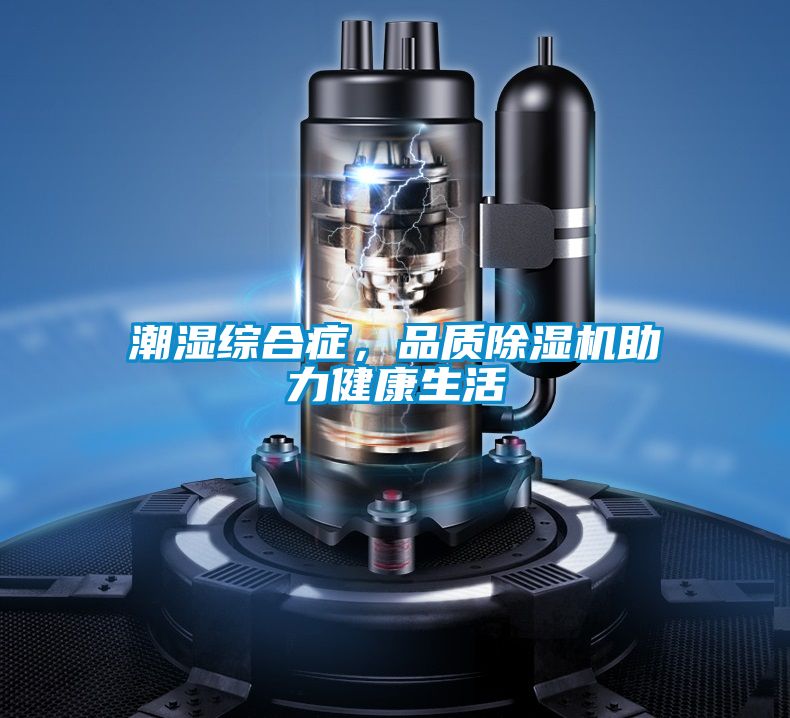 潮濕綜合癥，品質除濕機助力健康生活