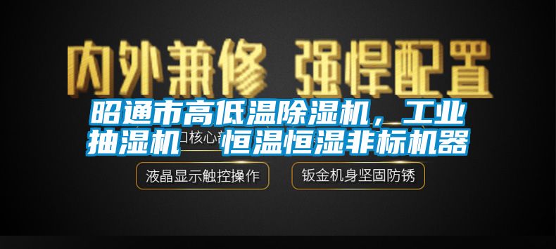 昭通市高低溫除濕機，工業(yè)抽濕機  恒溫恒濕非標(biāo)機器