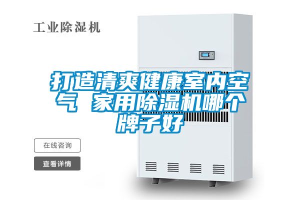 打造清爽健康室內空氣 家用除濕機哪個牌子好