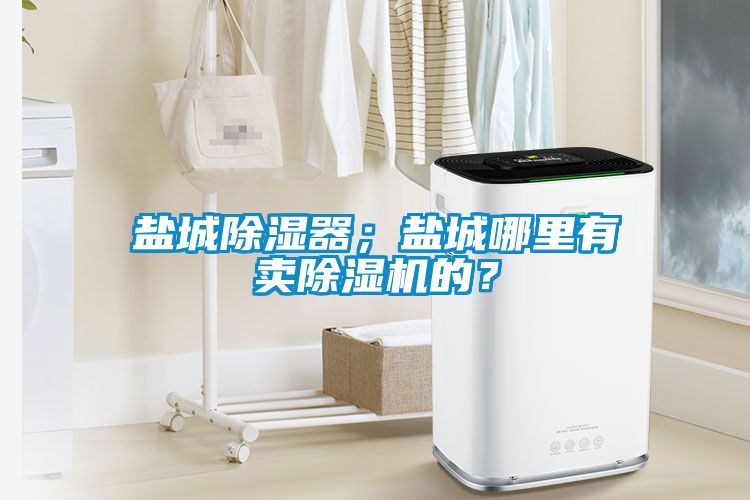 鹽城除濕器；鹽城哪里有賣除濕機的？