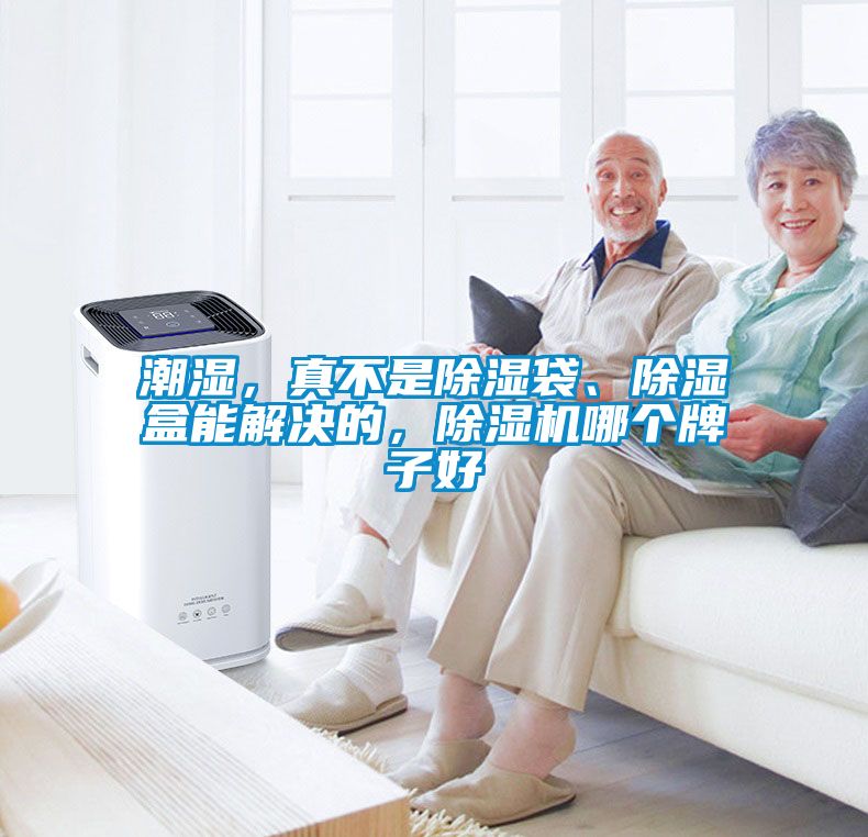 潮濕，真不是除濕袋、除濕盒能解決的，除濕機(jī)哪個牌子好
