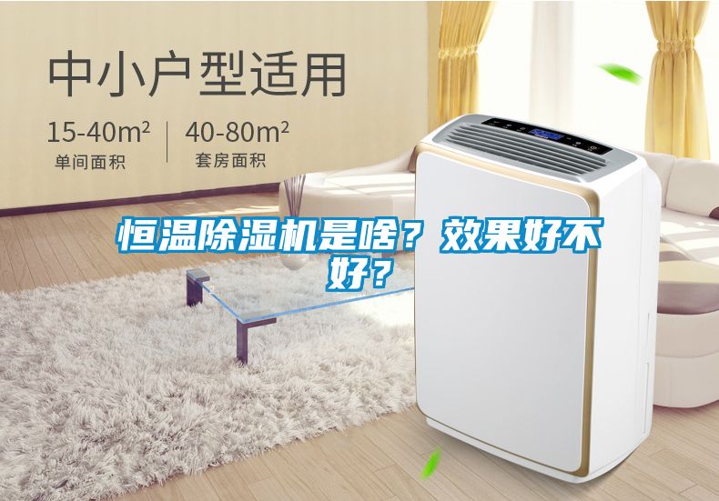 恒溫除濕機是啥？效果好不好？