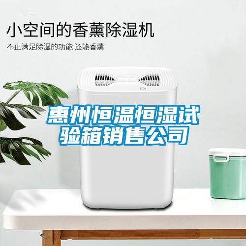 惠州恒溫恒濕試驗(yàn)箱銷(xiāo)售公司