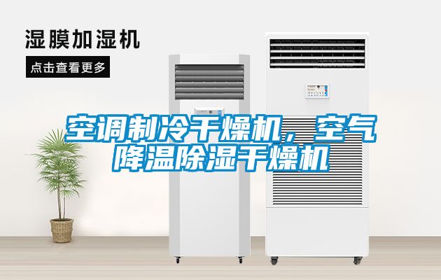 空調制冷干燥機，空氣降溫除濕干燥機