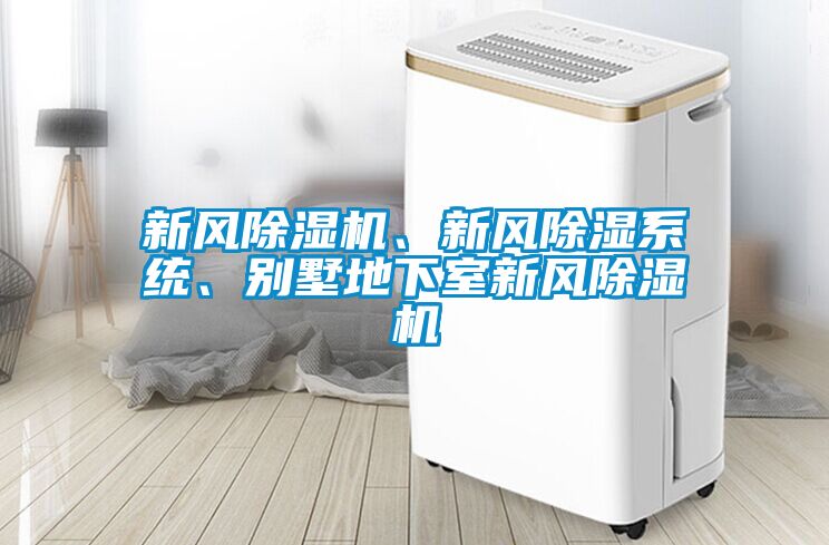 新風除濕機、新風除濕系統、別墅地下室新風除濕機
