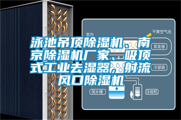 泳池吊頂除濕機、南京除濕機廠家、吸頂式工業(yè)去濕器，射流風(fēng)口除濕機