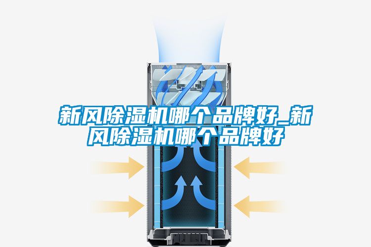 新風除濕機哪個品牌好_新風除濕機哪個品牌好