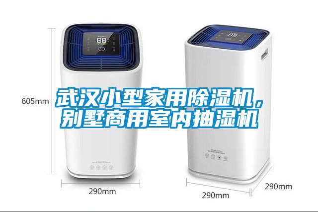 武漢小型家用除濕機，別墅商用室內抽濕機
