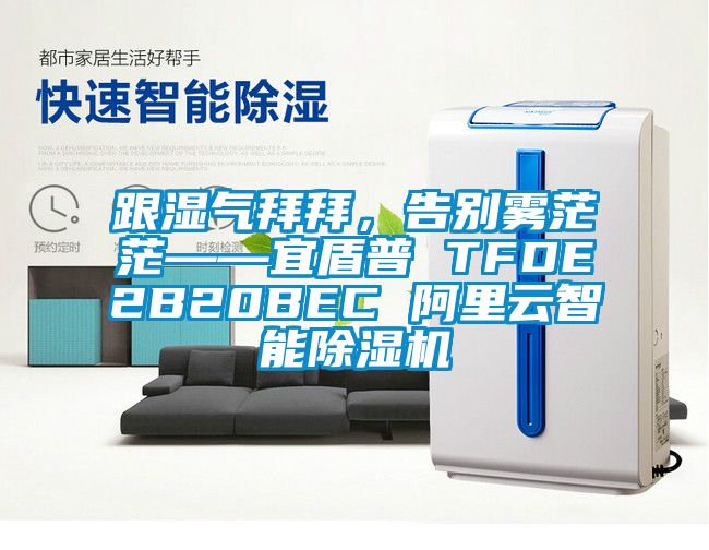 跟濕氣拜拜，告別霧茫茫——宜盾普 TFDE2B20BEC 阿里云智能除濕機