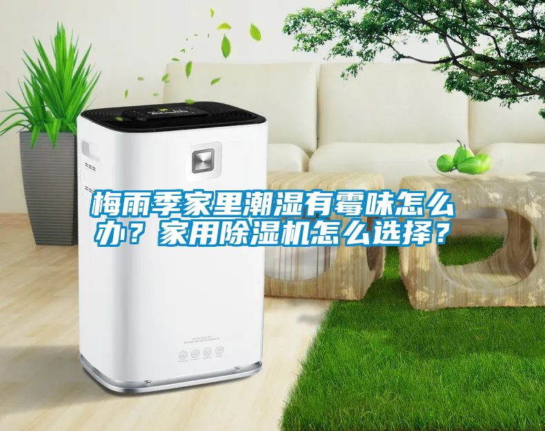 梅雨季家里潮濕有霉味怎么辦？家用除濕機怎么選擇？